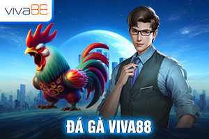 Ảnh đại diện bài viết giới thiệu Đá gà Viva88